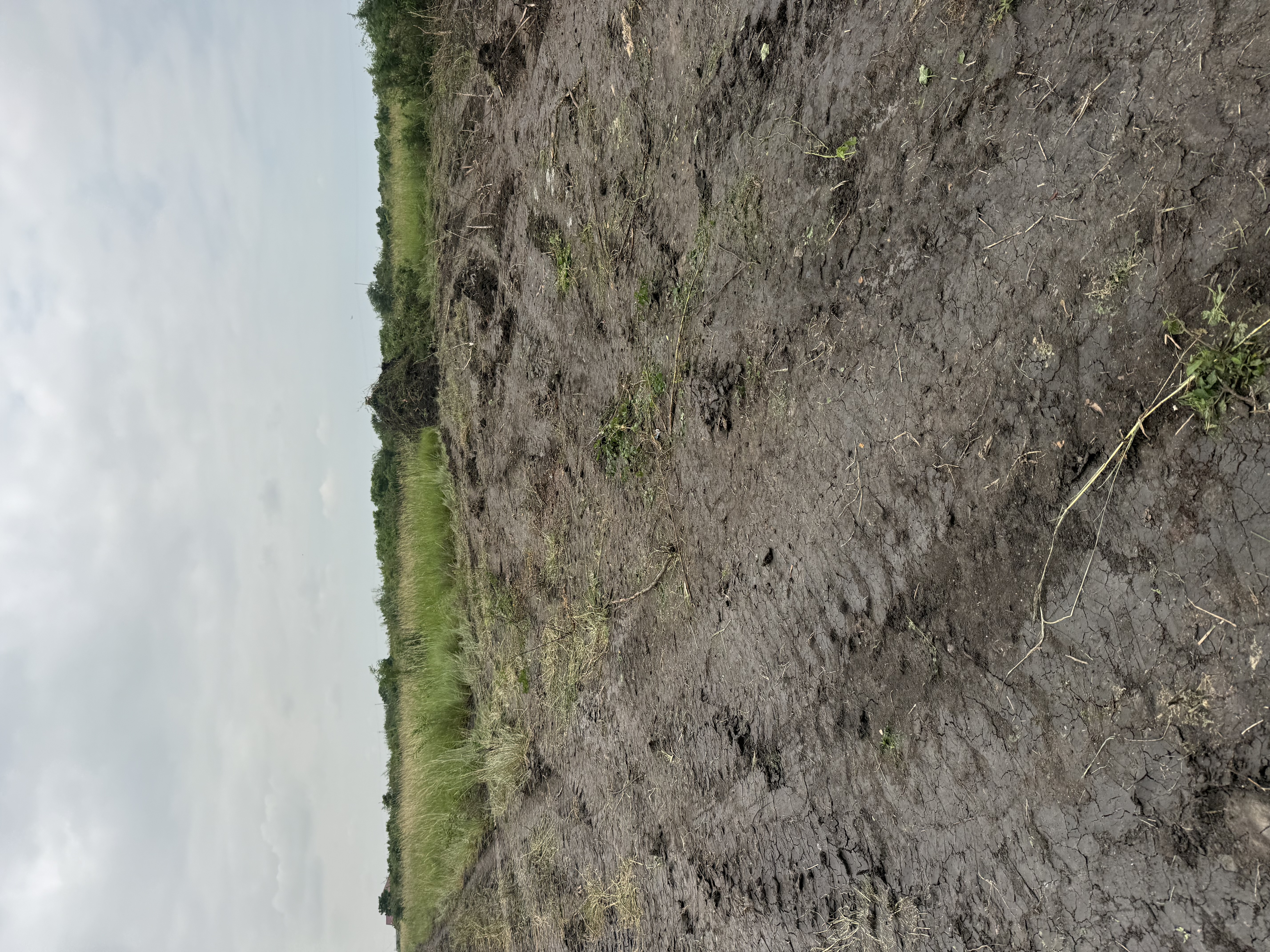 Land for sals